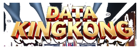 data kingkong logo